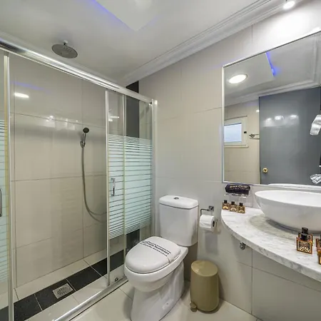 Aparthotel The 