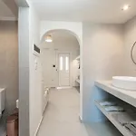 The 